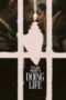 Doing-Life-2026-152x228-1